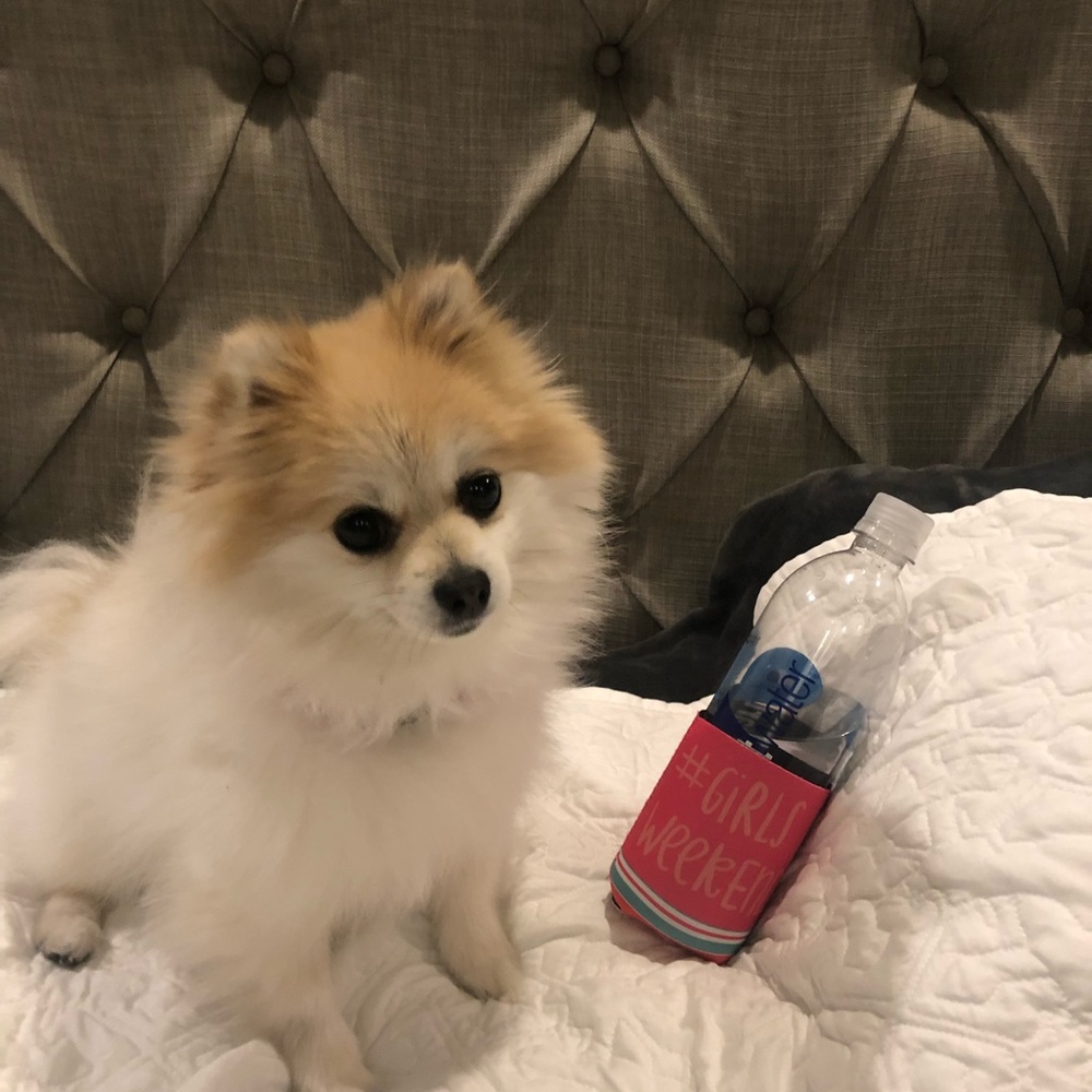 Meet your Posher, Dana